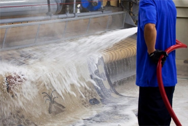 Area Rug Cleaning Service