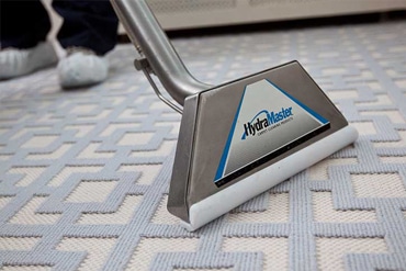 Professional Carpet Cleaners