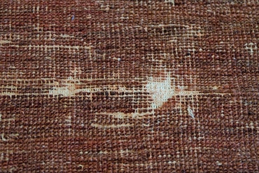 Protect Rugs from Moths and Insects