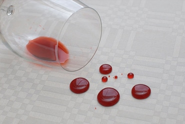 Fiberguard Stain Protection